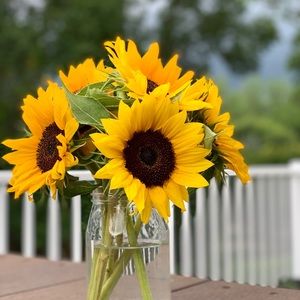 Meet your Posher, Christi